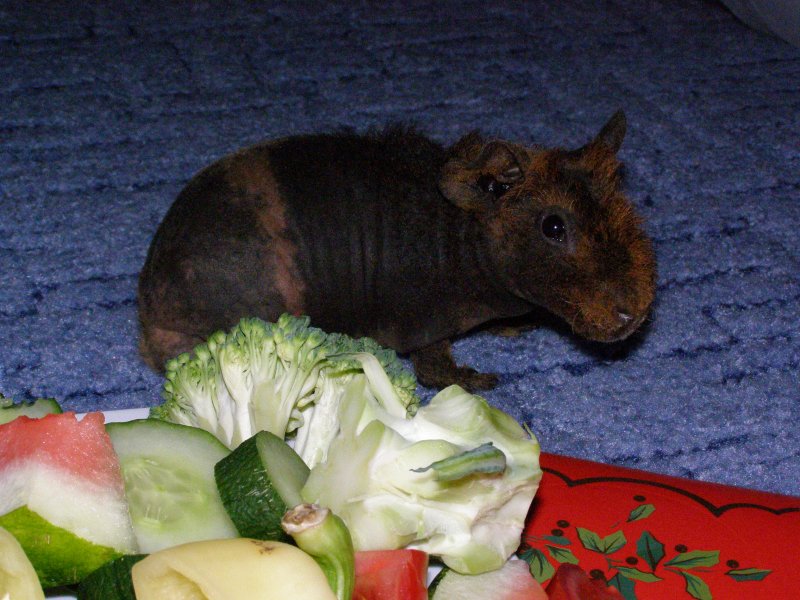 Optimus- klučík, drátěnka, váha 400g